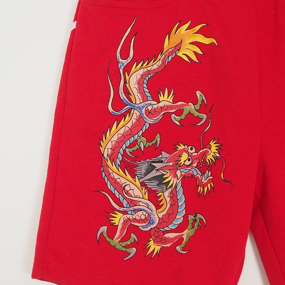 Ed Hardy Shorts Sz Large Y2K Style Red Fleece Dragon Back Spell Out AOP Graphic